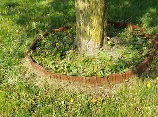 Weeding by Alisha Lawson for Laura T. in Columbus, OH