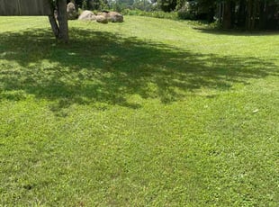 Jennifer R.'s Grass Cutting service result
