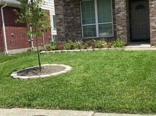 Sherika H.'s Lawn Care service result