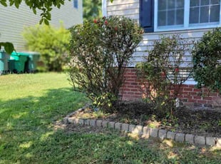 Bush Trimming by Mike Williams for Vikram R. in Richmond, VA
