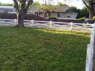 Victor F.'s Lawn Care service result