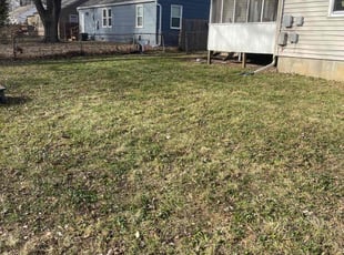 Leaf Removal by Scott Culala for Elizabeth N. in Mission, KS
