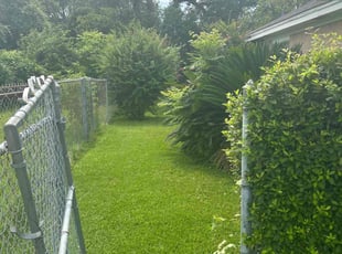 Sarah B.'s Lawn Care service result