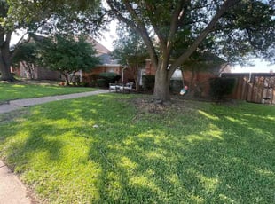 Toya M.'s Lawn Mowing service result