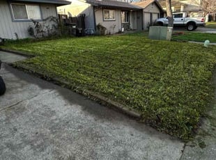 Aerrin P.'s Lawn Care service result