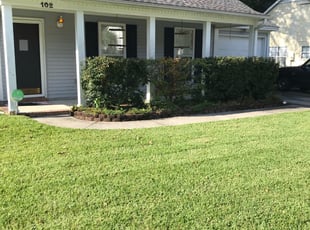 Bush Trimming by Bradley Zwyer for Christine J. in Summerville, SC