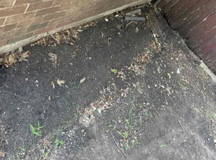 Leaf Removal by Adolfo Gonzalez Castaneda for Henry G. in DeSoto, TX