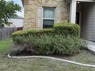 Bush Trimming by Geovanni Vargas for Rob R. in Austin, TX