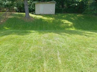 Byron E.'s Lawn Care service result