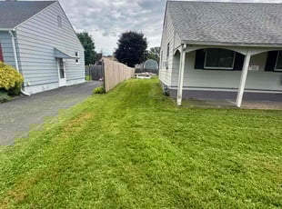 Steve P.'s Lawn Mowing service result