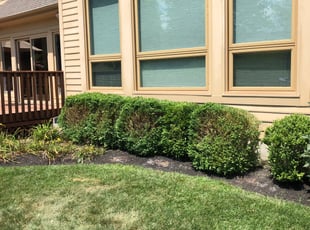 Landscaping by Gary Andersen for Lynn J. in Cincinnati, OH