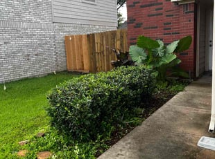 Bush Trimming by Jonathan Stephens for Kaitlin W. in Missouri City, TX