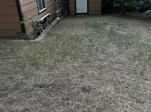 Cleanups by Andrew Fischer for Abel A. in Colorado Springs, CO