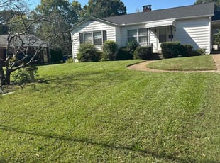 Tyler F.'s Lawn Mowing Service service result