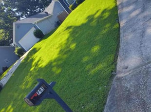 Kimberly G.'s Lawn Mowing service result