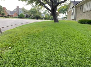 Mark B.'s Lawn Mowing Service service result