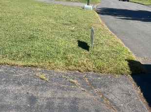 Anne M.'s Lawn Service service result