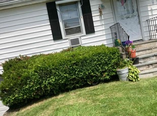 Bush Trimming by Miquell Davis for Happy R. in Fairfield, CT