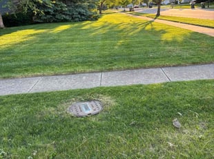 Bruce H.'s Lawn Service service result