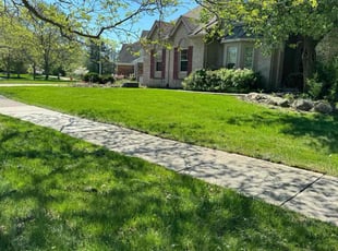 Patricia C.'s Lawn Mowing Service service result