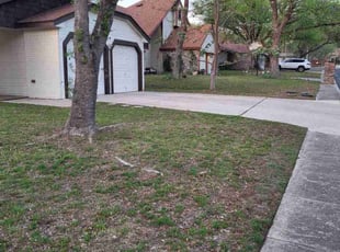 Leaf Removal by Jason Westgor for Kenny T. in San Antonio, TX