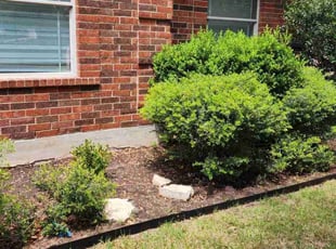 Leaf Removal by Bryant Infante Baez for Dawna G. in Pflugerville, TX