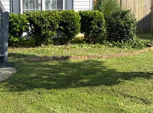 Bush Trimming by shuntwon Barnett for Roy T. in Winder, GA