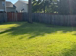 Cleanups by Kimberly Slaubaugh for Brian P. in Columbia, SC