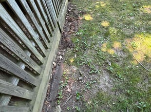 Leaf Removal by Edwin Villagran for Macey V. in Silver Spring, MD