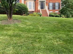 LeAnn O.'s Yard Cutting service result
