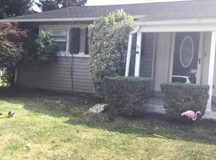 Bush Trimming by Ingrid Martinez for Connor T. in Frederick, MD