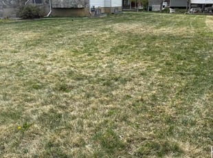 Robin A.'s Lawn Mowing service result