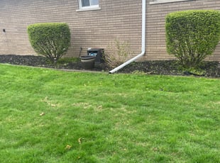 Bush Trimming by Eric Pharms for William G. in Warren, MI