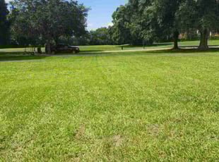 Melissa S.'s Yard Cutting service result