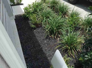 Weeding by Donovan Perry for Kevin M. in Houston, TX