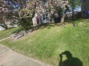 Amoni D.'s Lawn Mowing service result