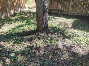Cleanups by Icaro Dos Santos for Alicia D. in Frederick, MD