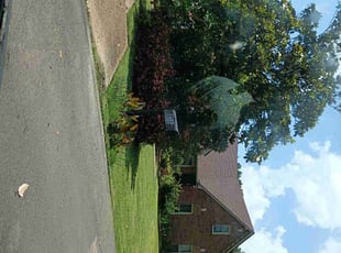 Joatta D.'s Lawn Care service result