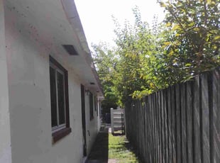 Bush Trimming by Kenneth White for Thomas C. in Fort Lauderdale, FL