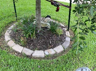 Weeding by Brandon Bowers for Andrew B. in Tomball, TX