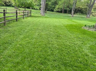 Joan R.'s Lawn Service service result