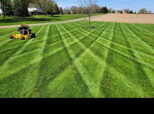 Lelenya K.'s Lawn Service service result