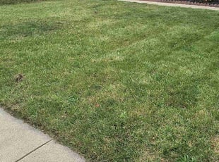 Kim W.'s Lawn Care service result