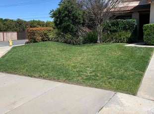 Bush Trimming by Andrea Villalpando for Casandra G. in Riverside, CA