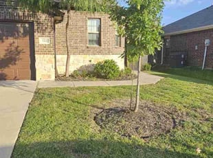 Bush Trimming by Raul Lara Romero for Wes P. in Wilmer, TX