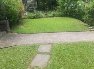 Joey L.'s Lawn Mowing Service service result
