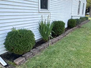 Shadiyah J.'s Flower Bed Weeding service result