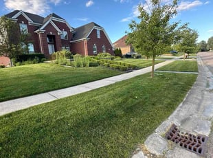 Matthew j.'s Lawn Service service result
