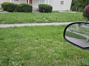 Bush Trimming by James Cole for Dorothea S. in Indianapolis, IN