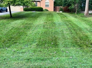 Leaf Removal by Edward Shubert for Cynthia M. in Farmington Hills, MI